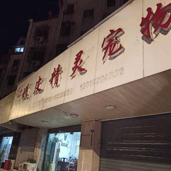 玩皮精灵宠物诊所:常州市溧阳市