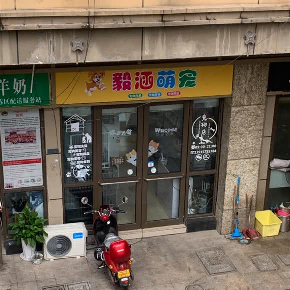 毅涵萌宠:苏州市吴中区