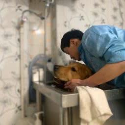 相城区元和小贝宠物店:苏州市相城区