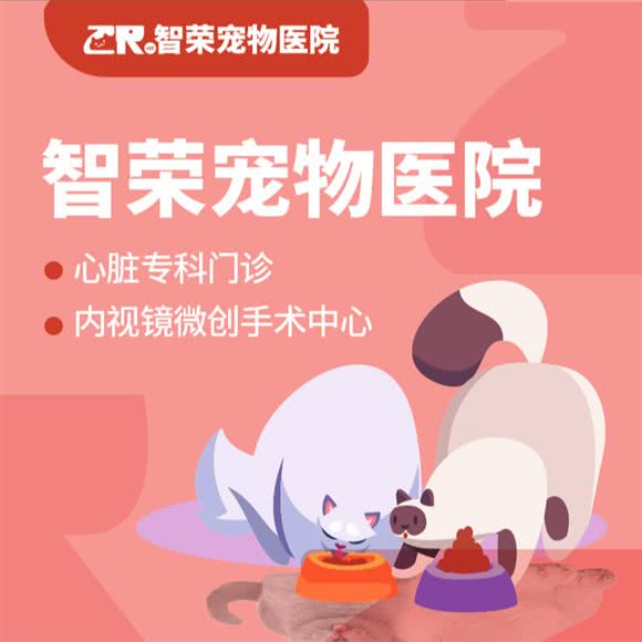 智荣宠物医院·心脏专科·内视镜微创手术中心:苏州市相城区