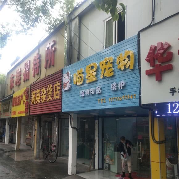 喵星宠物:苏州市吴江区