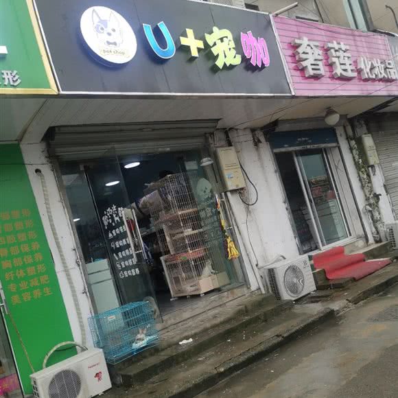 U+宠咖:苏州市吴江区
