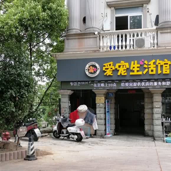 爱宠生活馆:苏州市吴江区