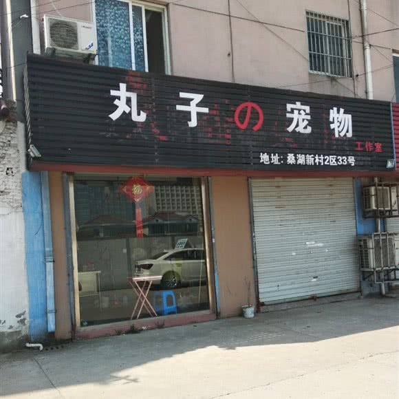 丸子の宠物工作室:苏州市吴江区