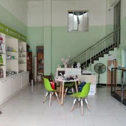 圣宠宠物(平望百盛店):苏州市吴江区