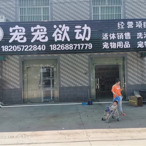 宠宠欲动宠物店:苏州市吴江区