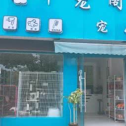 千宠阁宠物:苏州市吴江区