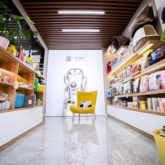 爱酱宠物:苏州市吴江区