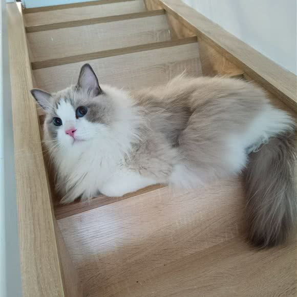 喵忆居:苏州市吴江区