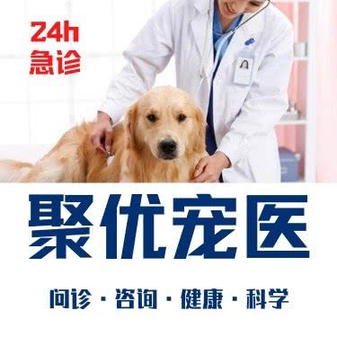 聚优宠物医院(吴江吾悦总院):苏州市吴江区