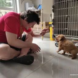 卓越宠物医院:苏州市吴江区