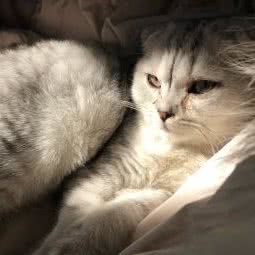 狗吧宠物诊所:苏州市吴江区