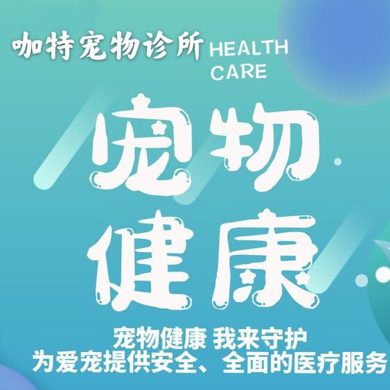 咖特宠物诊所:苏州市吴江区