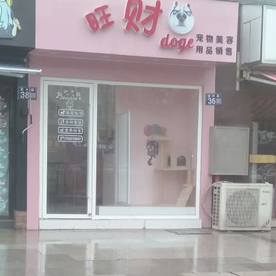 旺财宠物美容:苏州市常熟市