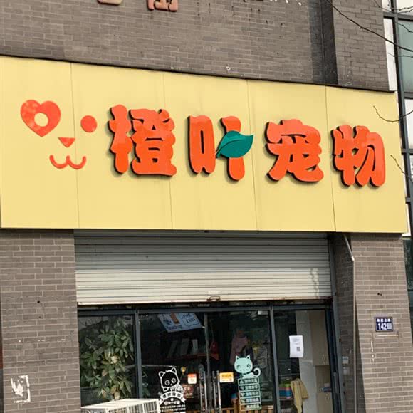 橙叶宠物:苏州市常熟市
