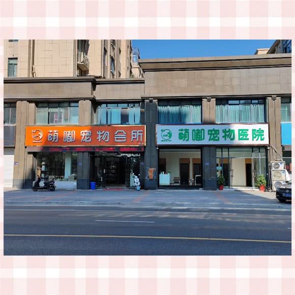 萌嘟宠物医院(万达店):苏州市常熟市