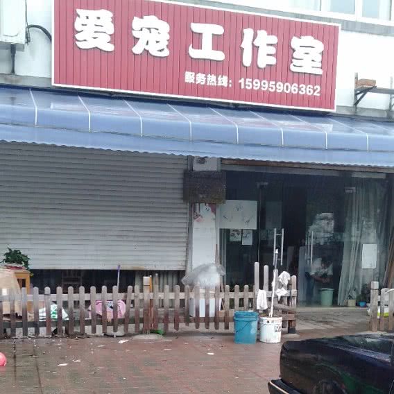 爱宠工作室:苏州市常熟市