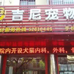 常熟吉尼宠物医院:苏州市常熟市