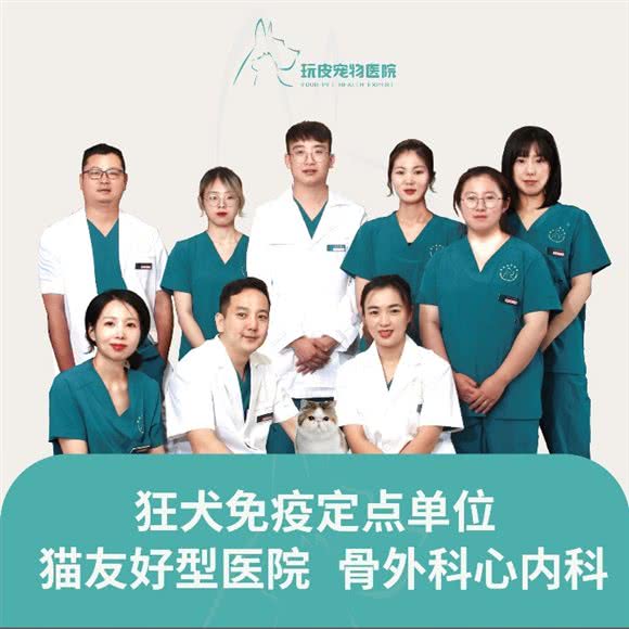 玩皮宠物医院·骨科心内科·国际猫友好医院:苏州市常熟市