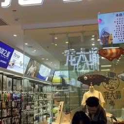 宠大师宠物沙龙:苏州市张家港市