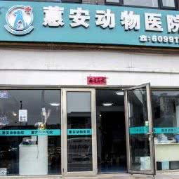 蕙安动物医院:大同市平城区南环路附近