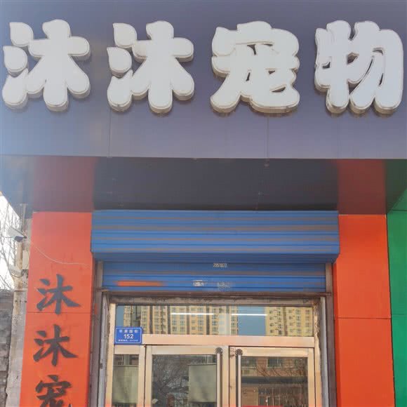 沐沐狗狗:大同市平城区华林新天地附近