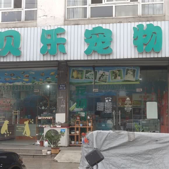 贝乐宠物:苏州市张家港市