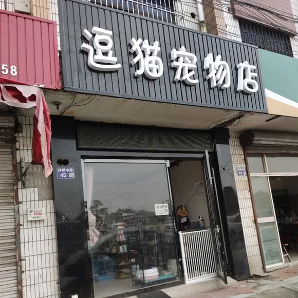 逗猫宠物店:苏州市张家港市