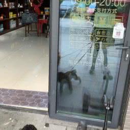 宠ta宠物生活馆:苏州市张家港市