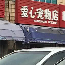 爱心宠物店:苏州市张家港市