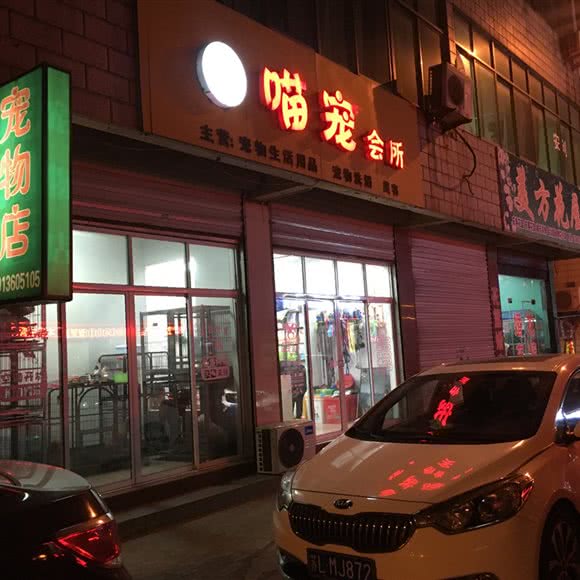 喵宠会所:苏州市张家港市