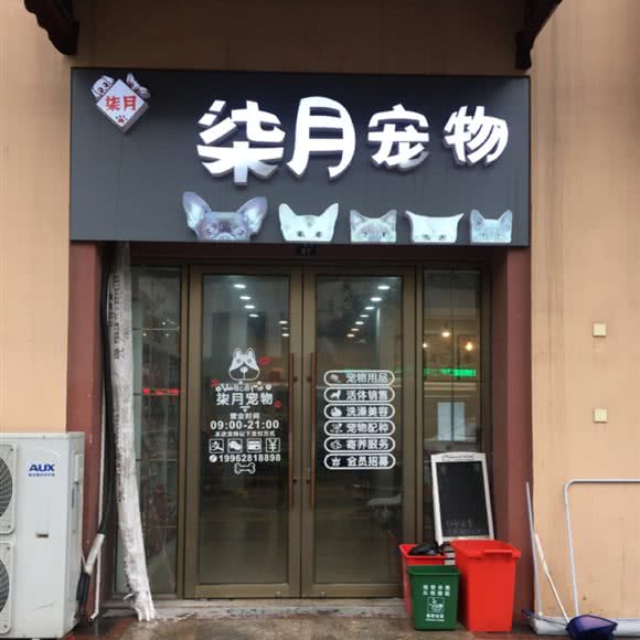 柒月宠物:苏州市张家港市