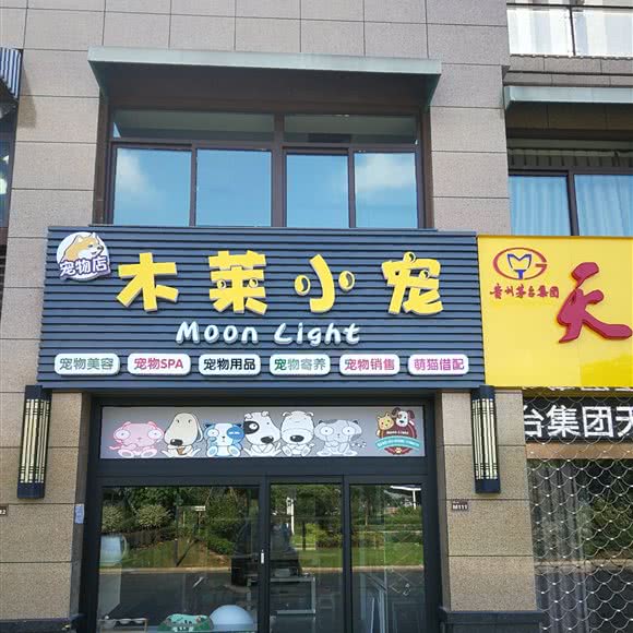 木莱小宠:苏州市张家港市