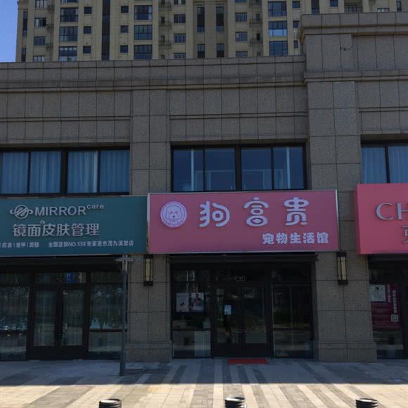 狗富贵宠物生活馆:苏州市张家港市