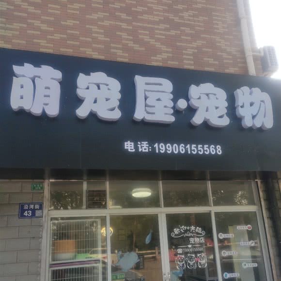 萌宠屋·宠物:苏州市张家港市