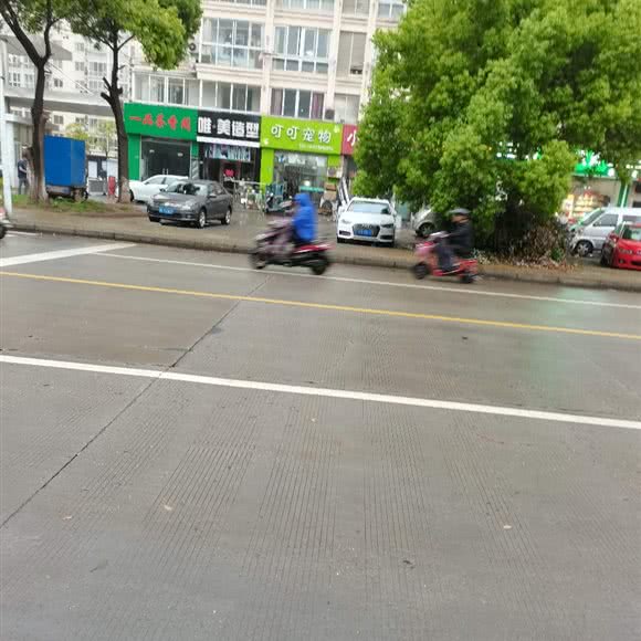 叮叮宠物店:苏州市张家港市