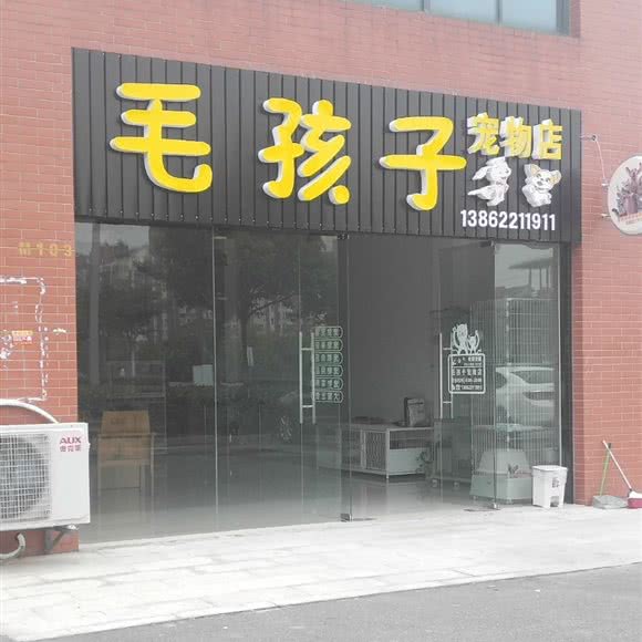 毛孩子宠物店:苏州市张家港市