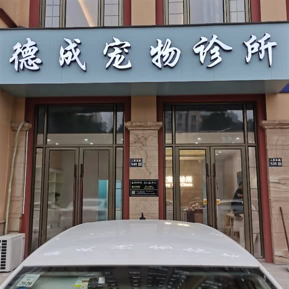 德成宠物诊所:苏州市张家港市