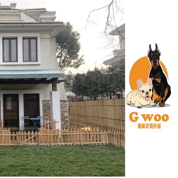 狗窝宠物民宿(法国斗牛犬专卖):苏州市昆山市