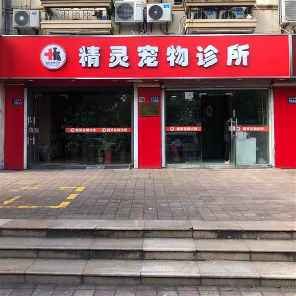 精灵宠物诊所(柏庐南路店):苏州市昆山市