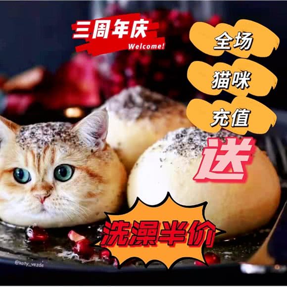 炎鑫宠物连锁(太仓站店):苏州市太仓市