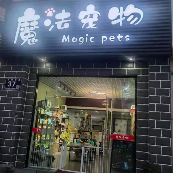 魔法宠物:苏州市太仓市