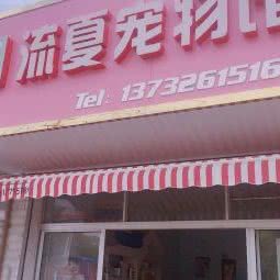 流夏宠物馆:苏州市太仓市