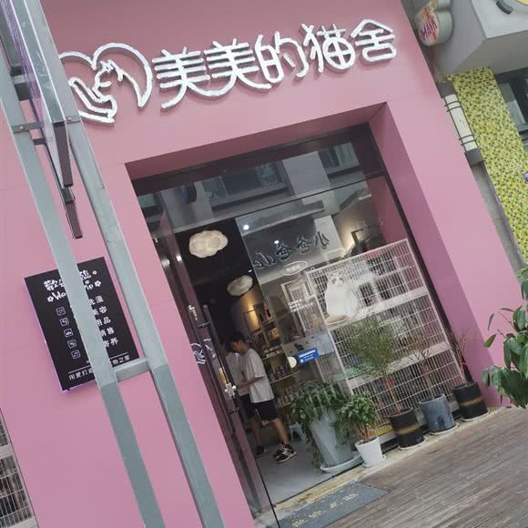 美美的猫舍:苏州市太仓市