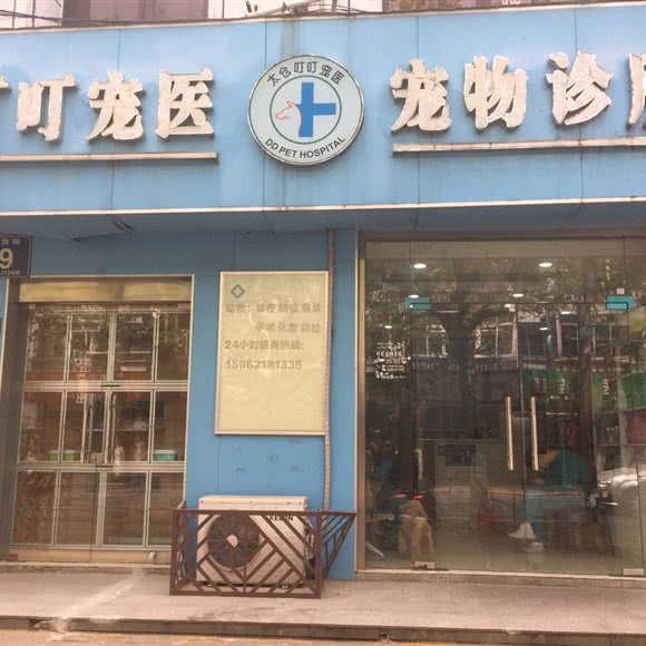 叮叮宠物医院(上海西路店):苏州市太仓市