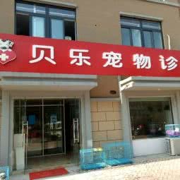 浏河贝乐宠物诊所:苏州市太仓市