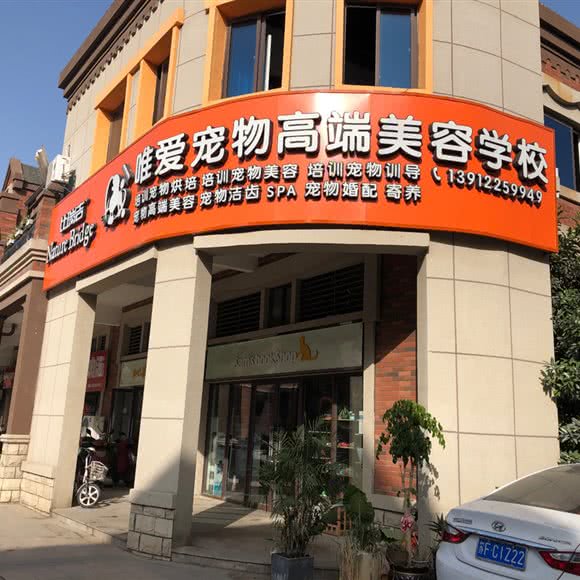 唯爱宠物高端美容学校:南通市崇川区