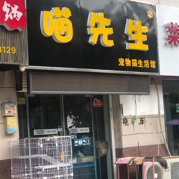 喵先生:南通市崇川区