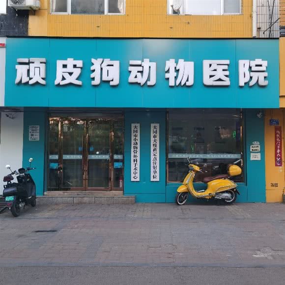 顽皮狗宠物医院:大同市平城区西环路北附近