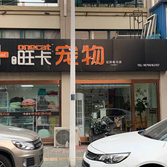 旺卡宠物狗:南通市通州区